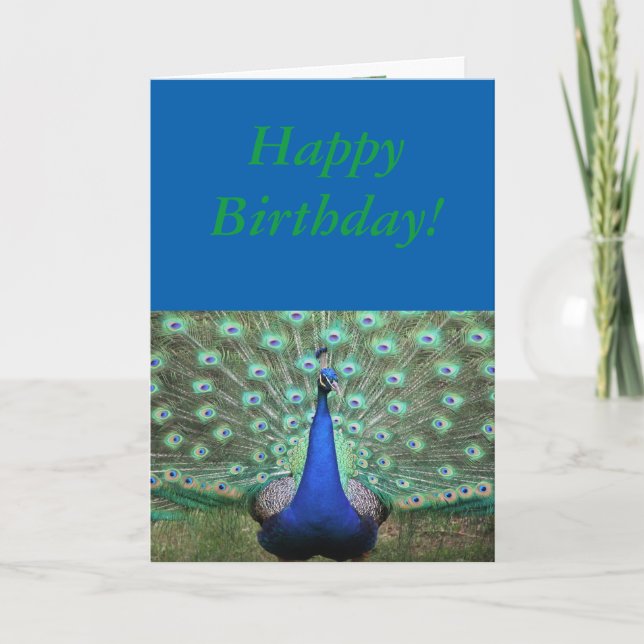 Peacock de couleur brillante, carte d'anniversaire (Devant)