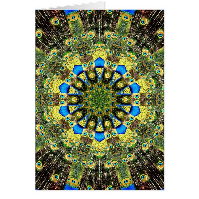 Peacock Feather Kaleidoscope 1 (Devant)