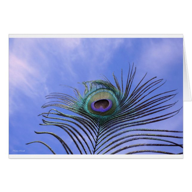 Peacock Feather Photo Light Blue Card (Devant horizontal)