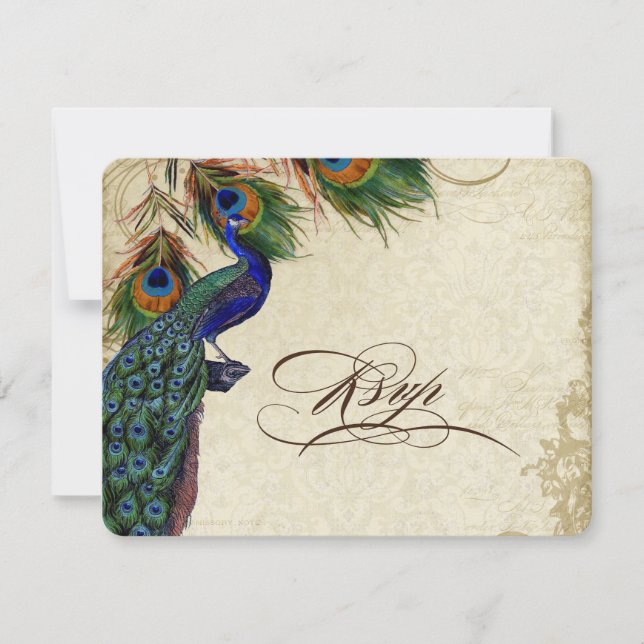 Peacock & Feathers Formal RSVP Response Cream (Devant)