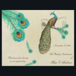 Peacock Feathers Programme de mariage 2<br><div class="desc">voir plus vintage paon oiseau Peacock Wedding Invitations Vintage Art nouveau Peacock Bird Parade Mariage -voir plus Vintage Bird Products Vintage Paisley Peacock Colors ou Fuchsia and Lime Paisley Faire-part de mariage -Paisley Peacock Colours Wedding Invitations, RSVP, Save the Date and Direction or Reception Cards. Cartes RSVP et Place RSVP...</div>