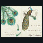 Peacock Feathers Programme de mariage sur Damask<br><div class="desc">voir plus vintage paon oiseau Peacock Wedding Invitations Vintage Art nouveau Peacock Bird Parade Mariage -voir plus Vintage Bird Products Vintage Paisley Peacock Colors ou Fuchsia and Lime Paisley Faire-part de mariage -Paisley Peacock Colours Wedding Invitations, RSVP, Save the Date and Direction or Reception Cards. Cartes RSVP et Place RSVP...</div>