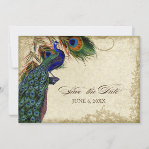 Peacock & Feathers Save the Date Tea Stained