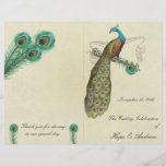 Peacock Feathers Wedding Programme 3<br><div class="desc">voir plus vintages produits d'oiseaux paons voir plus vintages produits d'oiseaux Peacock Wedding Invitations Vintage Paisley Peacock Colors or Fuchsia and Lime Paisley Faire-part de mariage -Paisley Peacock Colours Wedding Invitations, RSVP, Save the Date and Direction or Reception Cards. Cartes RSVP & Place Cartes RSVP & Place Cartes Mariages d'oiseaux...</div>