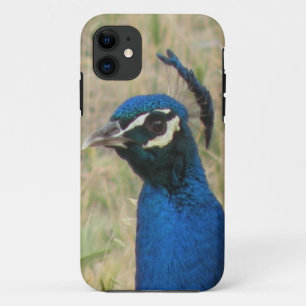 Peacock iPhone 5 Coque