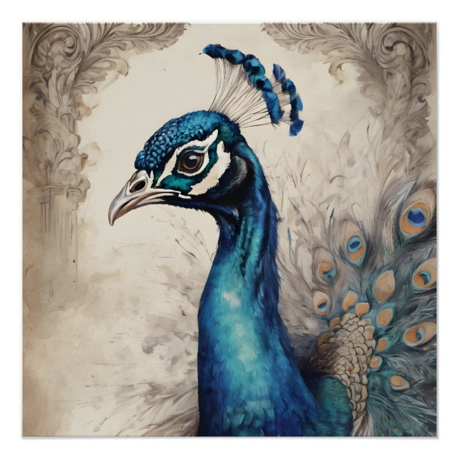 Peacock no 7 Glossy Poster (Devant)