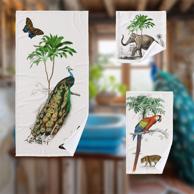 Peacock, Parrot et Eléphant par D'Orbigny (Créateur téléchargé)