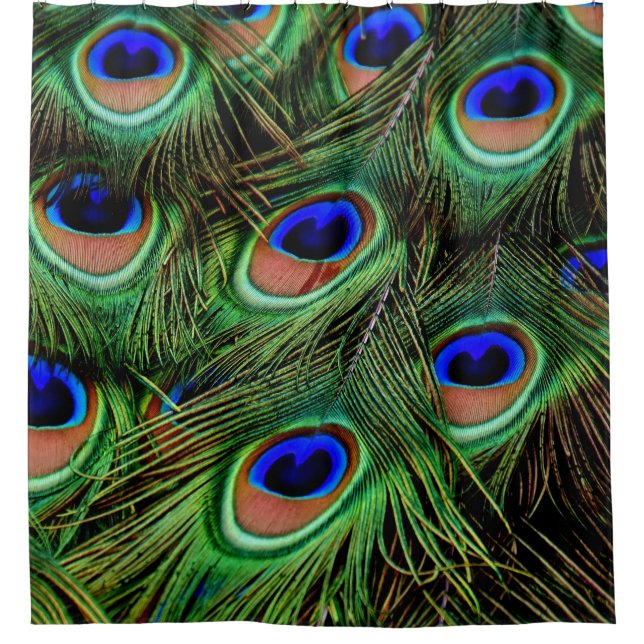 Peacock Peacocks Turquoises rideaux Douche rideau (Devant)