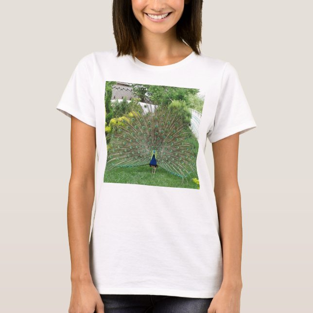 Peacock photo T-Shirt de base féminin, blanc (Devant)