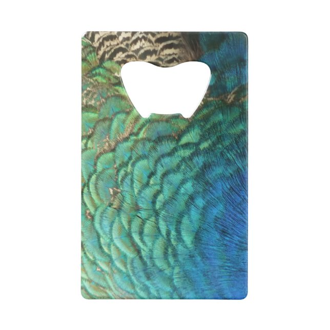 Peacock Plumes I Colorful Abstrait Nature Design (Dos)