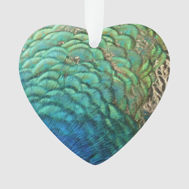 Peacock Plumes I Colorful Abstrait Nature Design (devant)