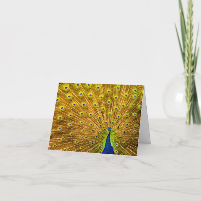 Peacock, Silver Falls, Kauai, Hawaii (Devant)