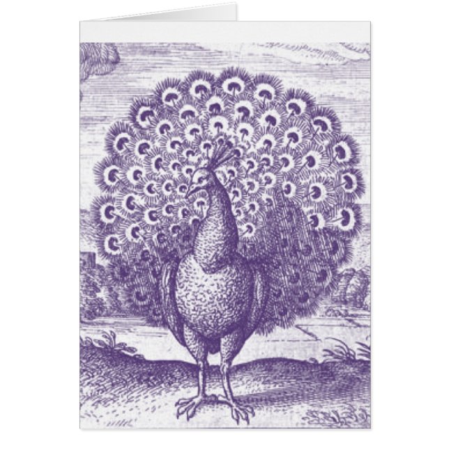 Peacock, une gravure vintage (Devant)