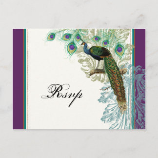 Peacock vintage, plumes - Carte postale Réponse RS
