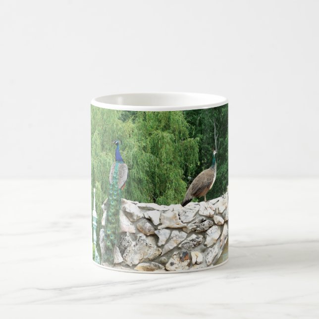Peacocs dans un jardin photo Mug (Centre)