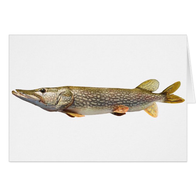 Pêche de Pike Muski (Devant horizontal)