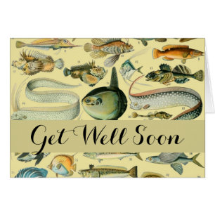 Pêche scientifique vintage