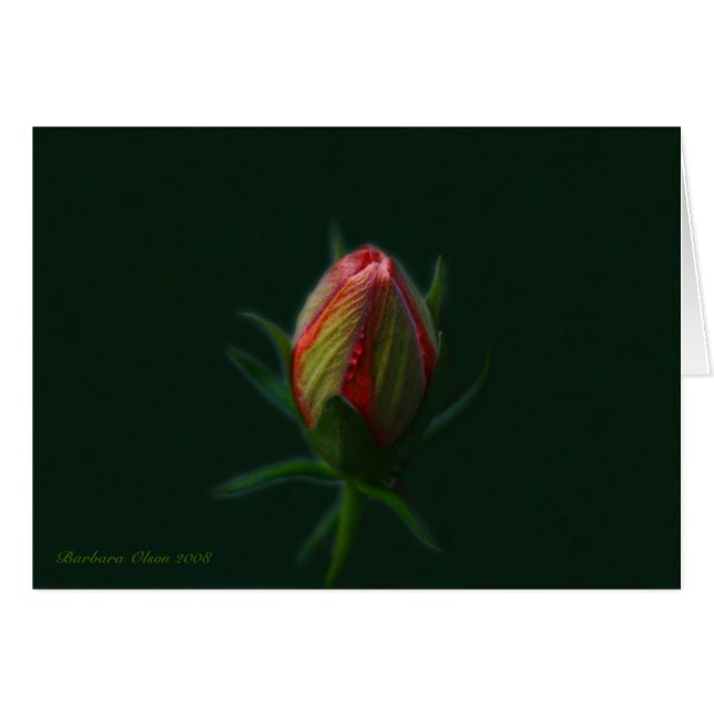 Pêcher la fleur d'Hibiscus - une âme qui fleurit d (Devant horizontal)