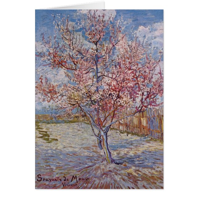 Pêcher rose dans la fleur (réminiscence de mauve) (Devant)