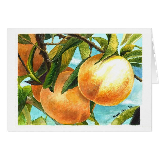 Pêches prêtes à être plumé (Devant horizontal)