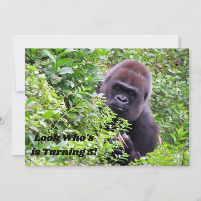 Peek-A-Boo Gorilla - Invitation Anniversaire (Devant)