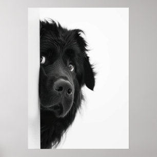 Peek-a-Boo Pup – Impression de photographie de chi