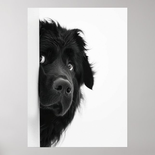 Peek-a-Boo Pup – Impression de photographie de chi (Devant)
