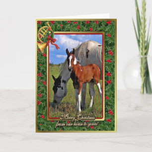 Peignez la jument de cheval et poulinez carte