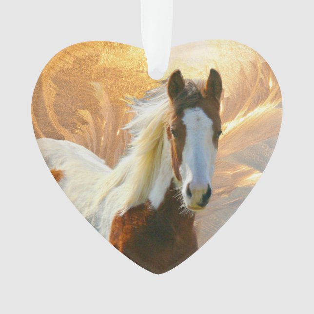 Peignez les ornements de Noël de cheval (devant)