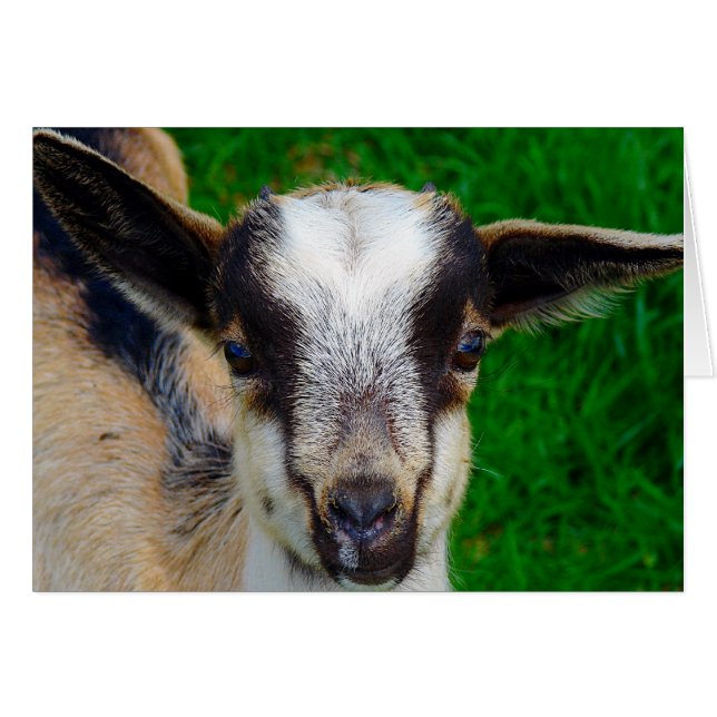 Peindre (Devant horizontal)