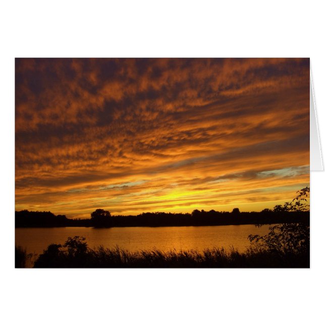 Peindre orange (Devant horizontal)