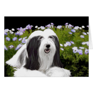 Peinture à collie à poils - Joli art original de c