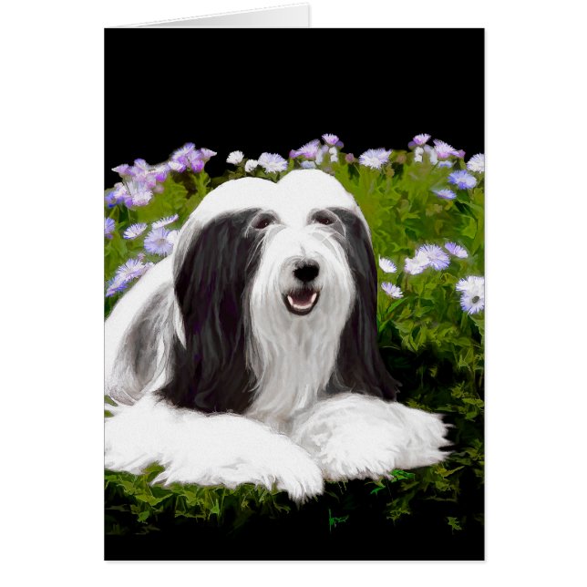 Peinture à collie à poils - Joli art original de c (Devant)