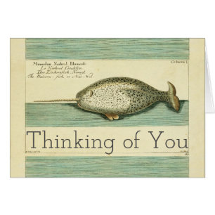 Peinture à l'aquarelle de baleine ancienne Narwhal