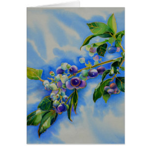 peinture à l'aquarelle de bleuet