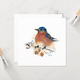 Peinture à l'aquarelle de Bluebird