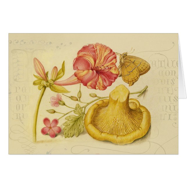 Peinture à l'aquarelle des champignons papillons (Devant horizontal)