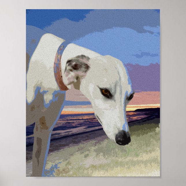 Peinture à l'huile blanche Greyhound, Poster (Devant)
