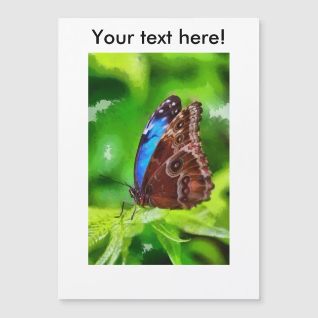 Peinture à papillon (Devant)