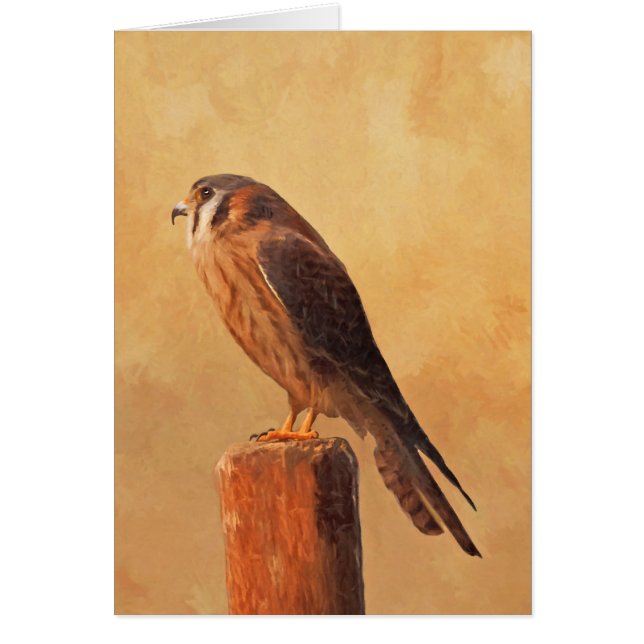 Peinture américaine Kestrel - Art original pour oi (Devant)