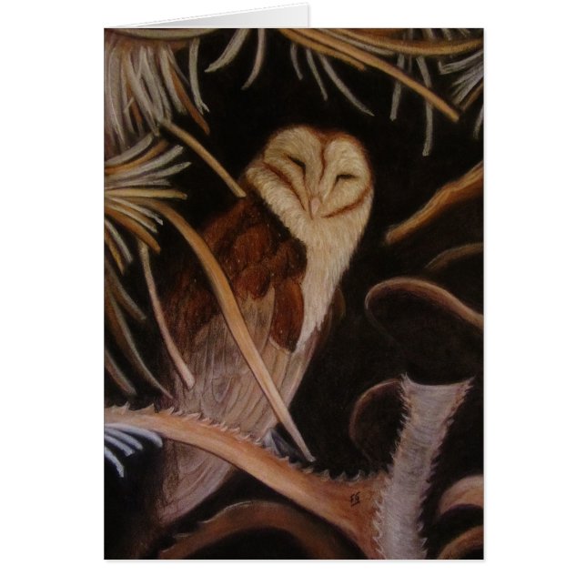 peinture animale en pastel de hibou de grange de (Devant)