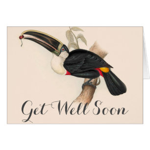 Peinture animalière d'antiquités Toucans