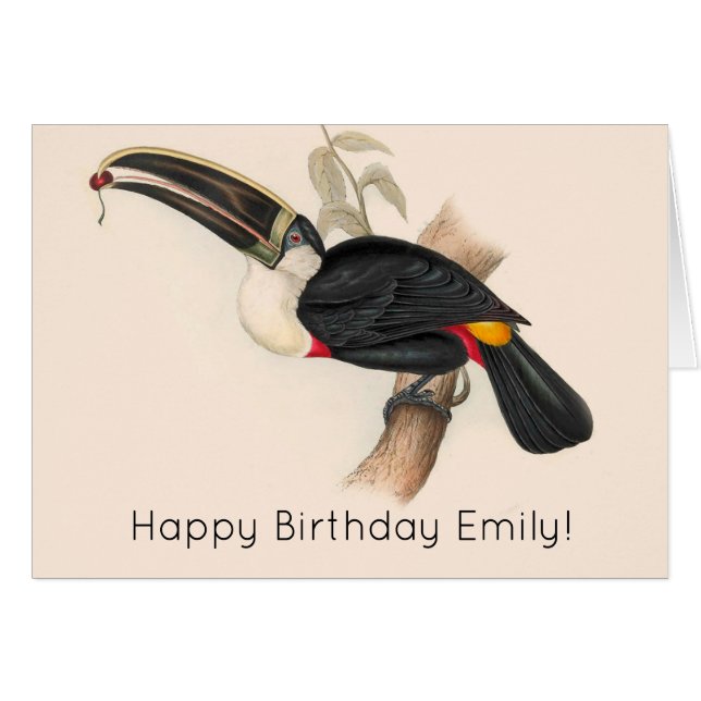 Peinture animalière d'antiquités Toucans (Devant horizontal)