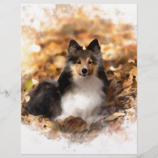 Peinture artistique Sheltie Shetland Sheepdog (Devant)