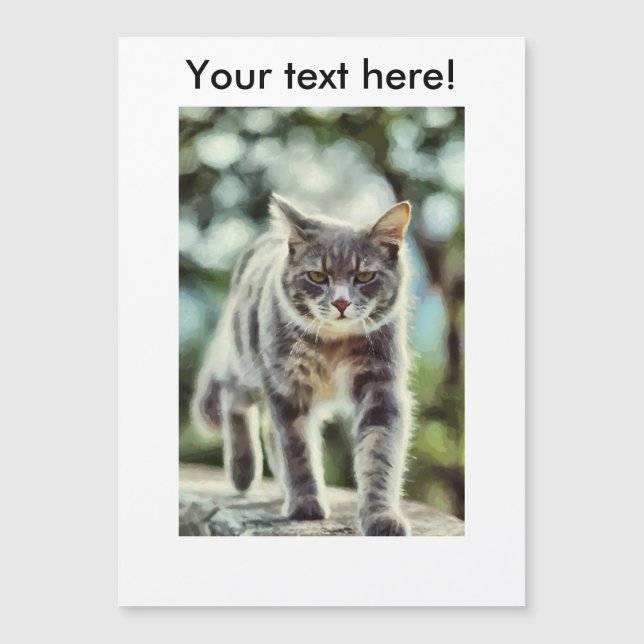 Peinture de chat (Devant)