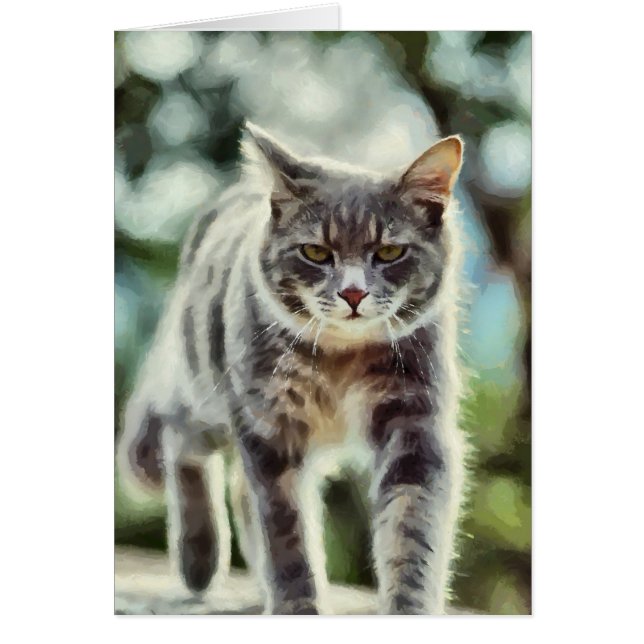 Peinture de chat (Devant)