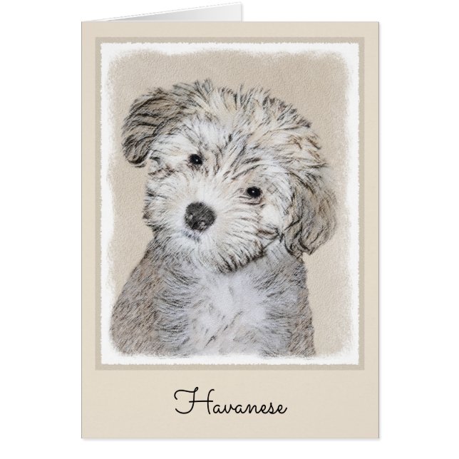 Peinture de Chien Havanais - Cute Original Chien A (Devant)