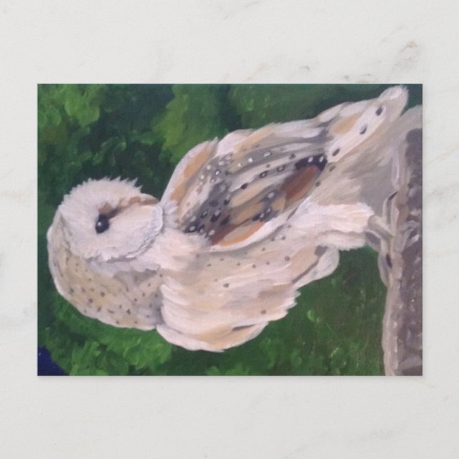 Peinture de hibou sur carte postale (Devant)