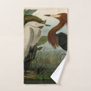 Peinture de la faune d'Audubon Heron violet