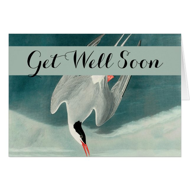 Peinture de la faune de la sterne de l'Arctique Au (Devant horizontal)